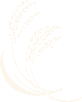 deco